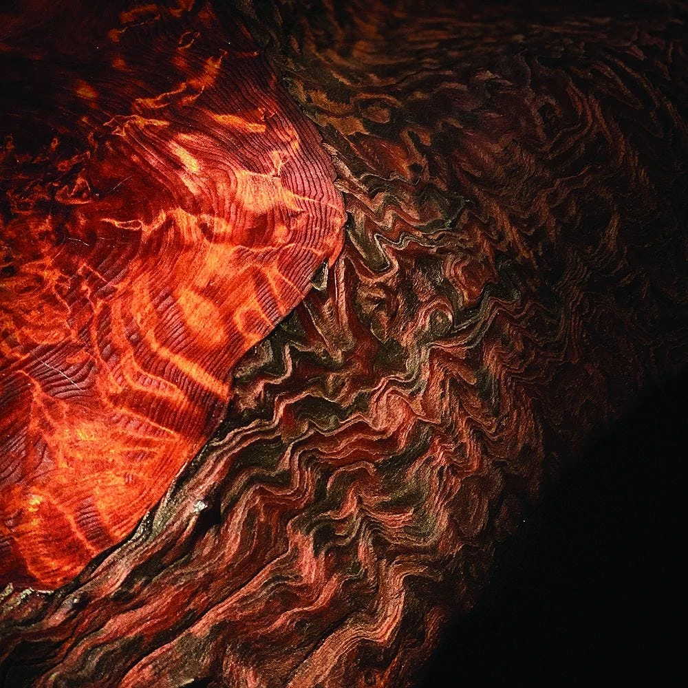 Odie's Wood Butter, 9 Oz. 6 Odie's Wood Butter, 9 Oz. - Image 6